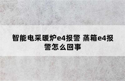 智能电采暖炉e4报警 蒸箱e4报警怎么回事